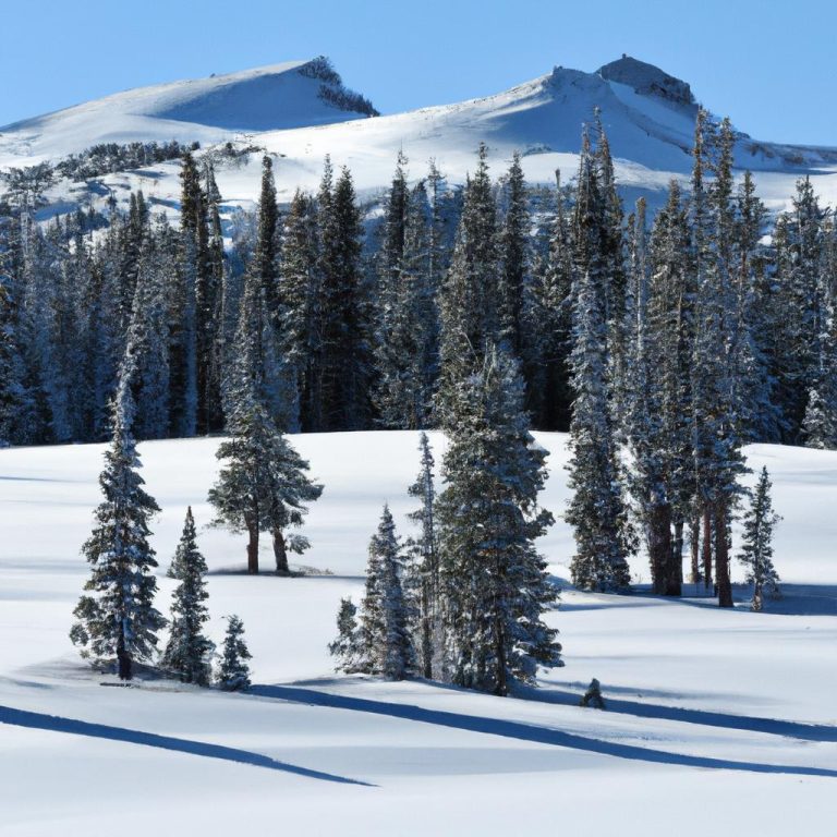Best Winter Travel Destinations USA: Winter Wonders